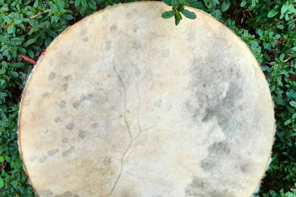 zipwp-image-drum-1920 zipwp-image-drum-1920.jpg